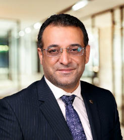 Hamed Taherdoost.jpg